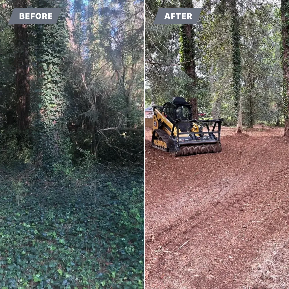 land management in fraser valley mulching machine
