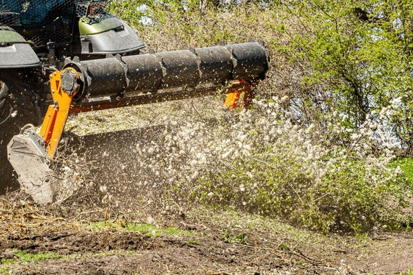 Forestry mulcher clearing thick undergrowth and small trees on wooded acreage