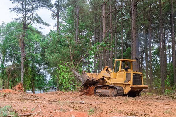 Land clearing equipment removing dense brush and vegetation from rural property