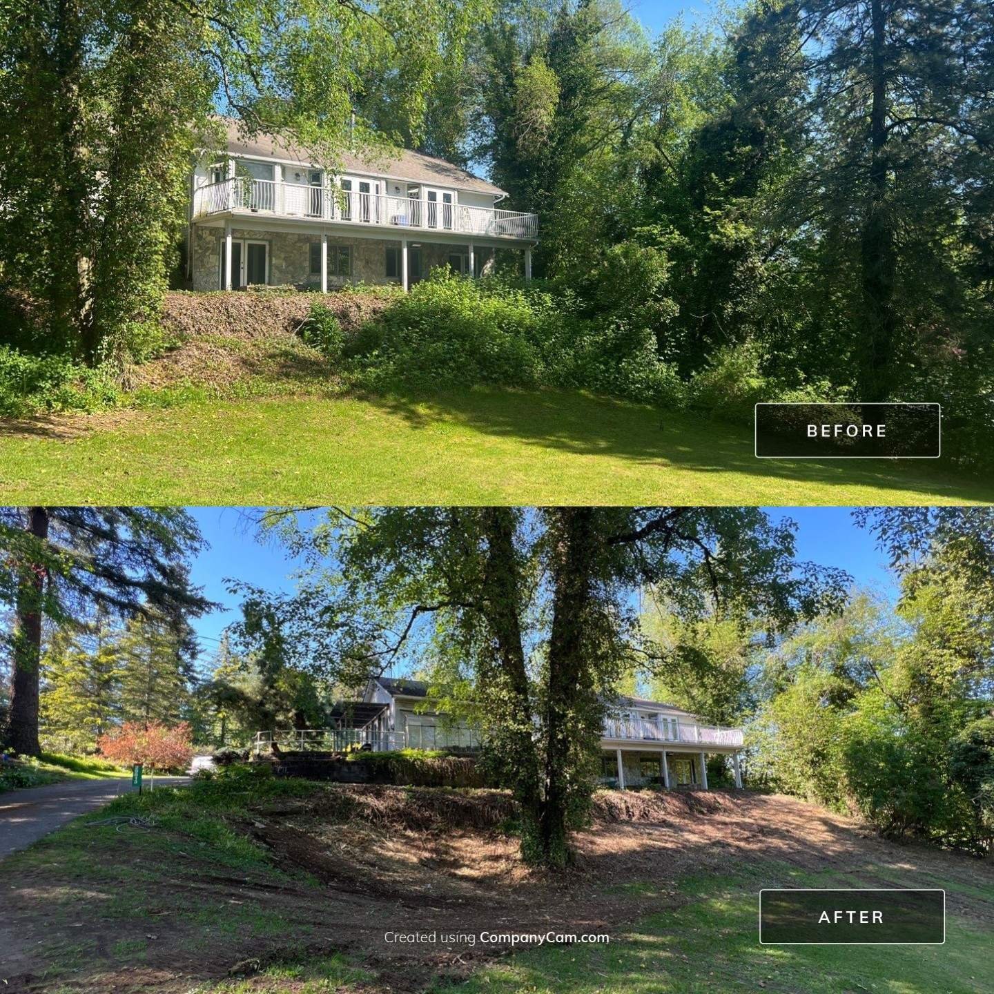 expert land management at a residence in fraser valley