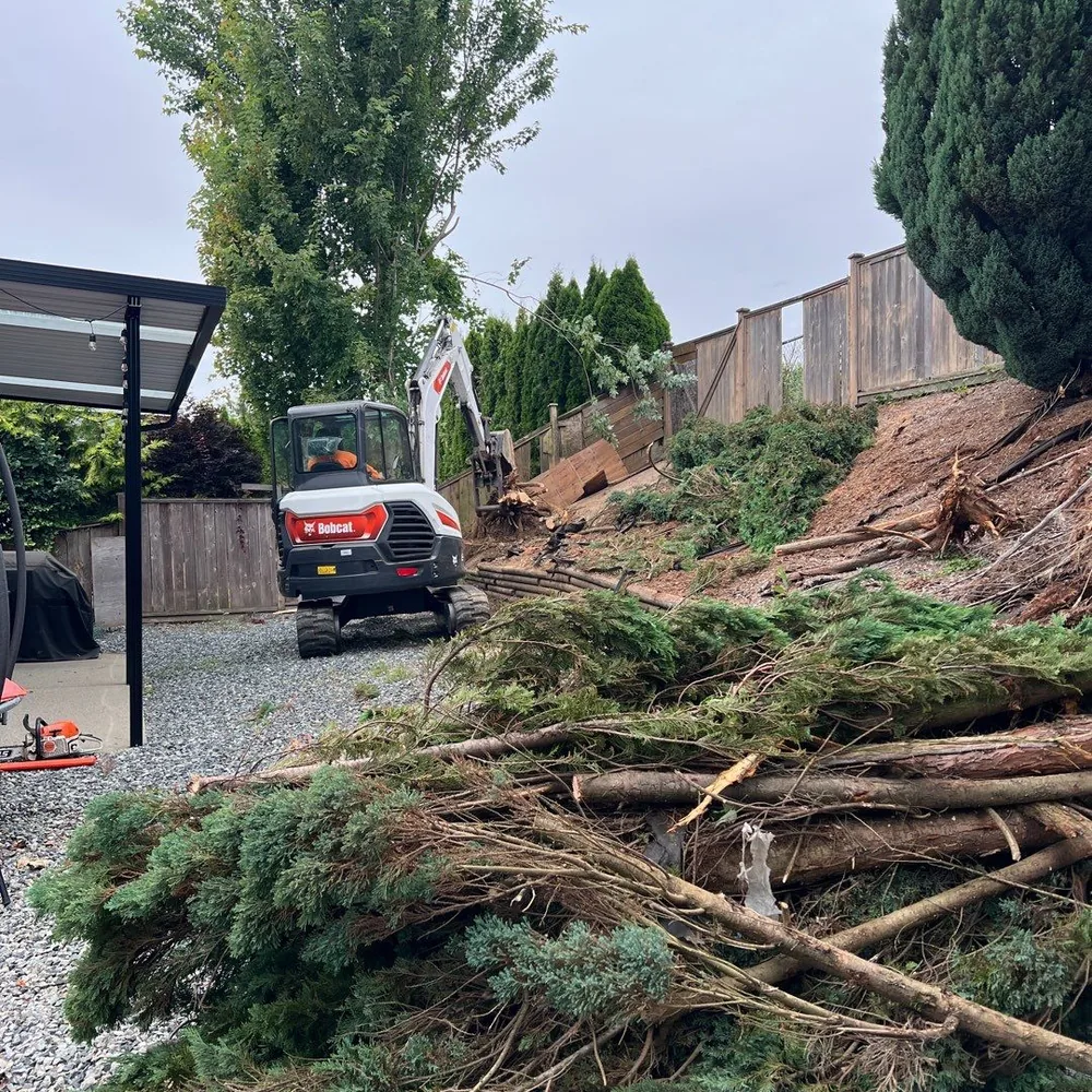 Crew performing tree removal on a Fraser Valley property while managing limbs above a fenced yard
